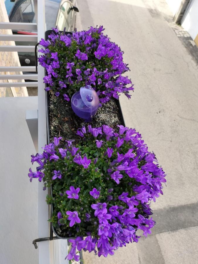 The Violet House Villa Costa Nova Buitenkant foto